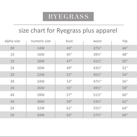 NWT - Ryegrass -Plus Womens Pleated Ruffle Midi Skirt - Picture 8 of 8